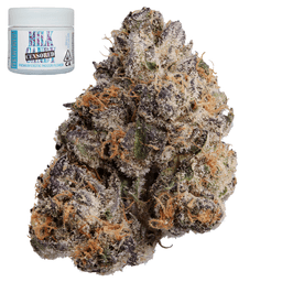 Premium-Traditional-Milk Censored-image-1