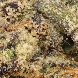 Premium-Traditional-Happy Weed Minis-image-2