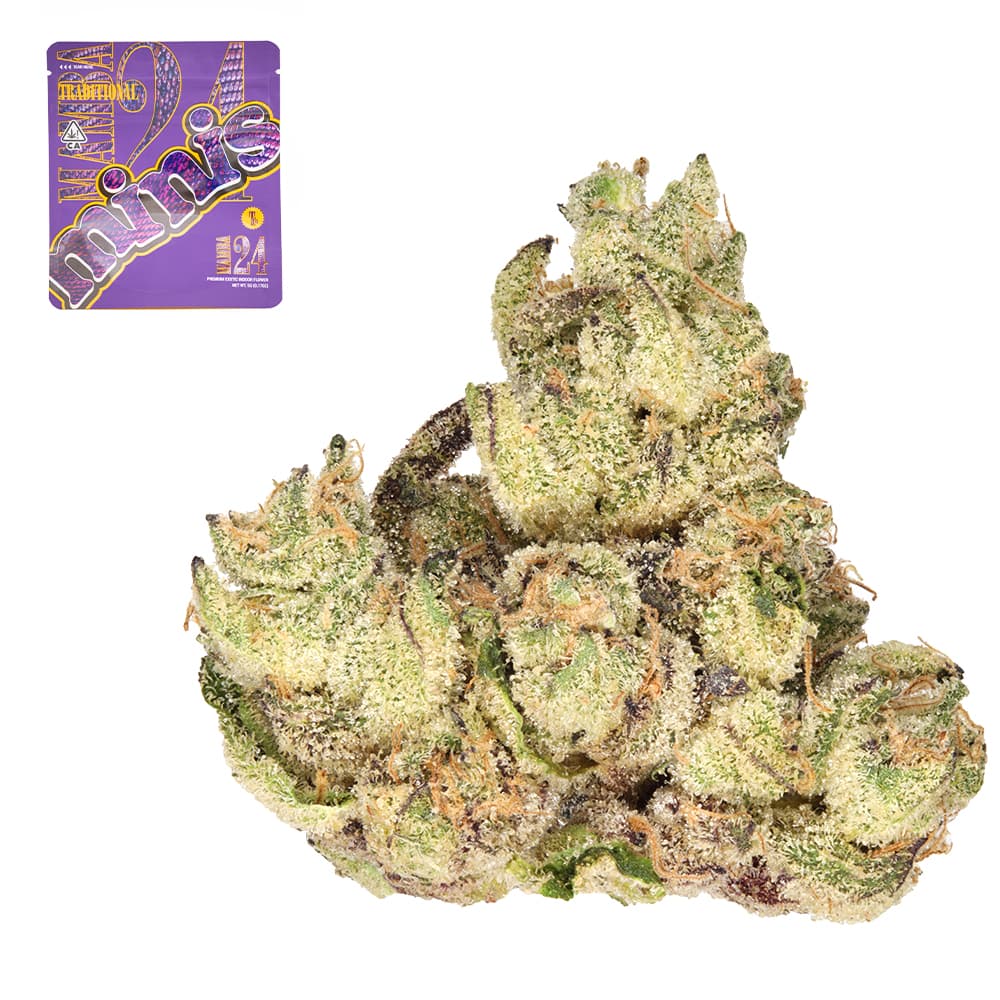 Premium-Traditional-Mamba 24 Minis