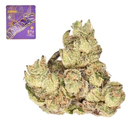 Premium-Traditional-Mamba 24 Minis-image-1