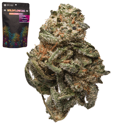 Smaller Buds-West Coast Trading Company-Motor Breath Half Ounce Smalls-image-1