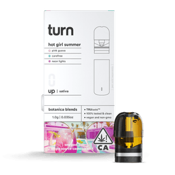 Pod System-turn-Hot Girl Summer Pod-image-1