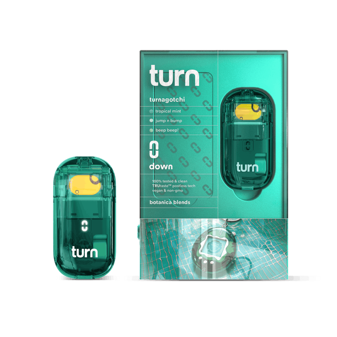 All-in-One-turn-Turnagotchi RETROVISION All-In-One