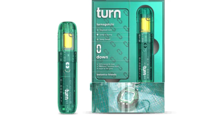 Turnagotchi RETROVISION All-In-One