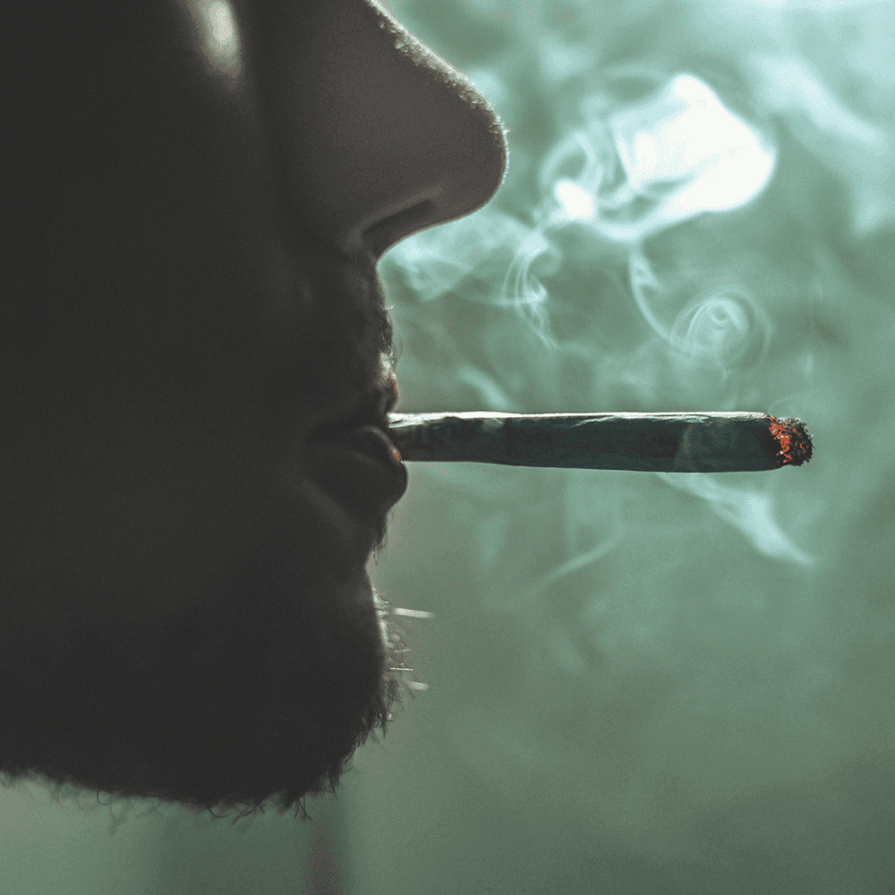 Pre-Roll vs Joint vs Blunt: What's the Actual Difference?