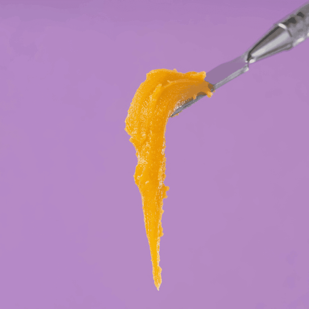 Cannabis Concentrates Ranked: Best to Worst (2026)