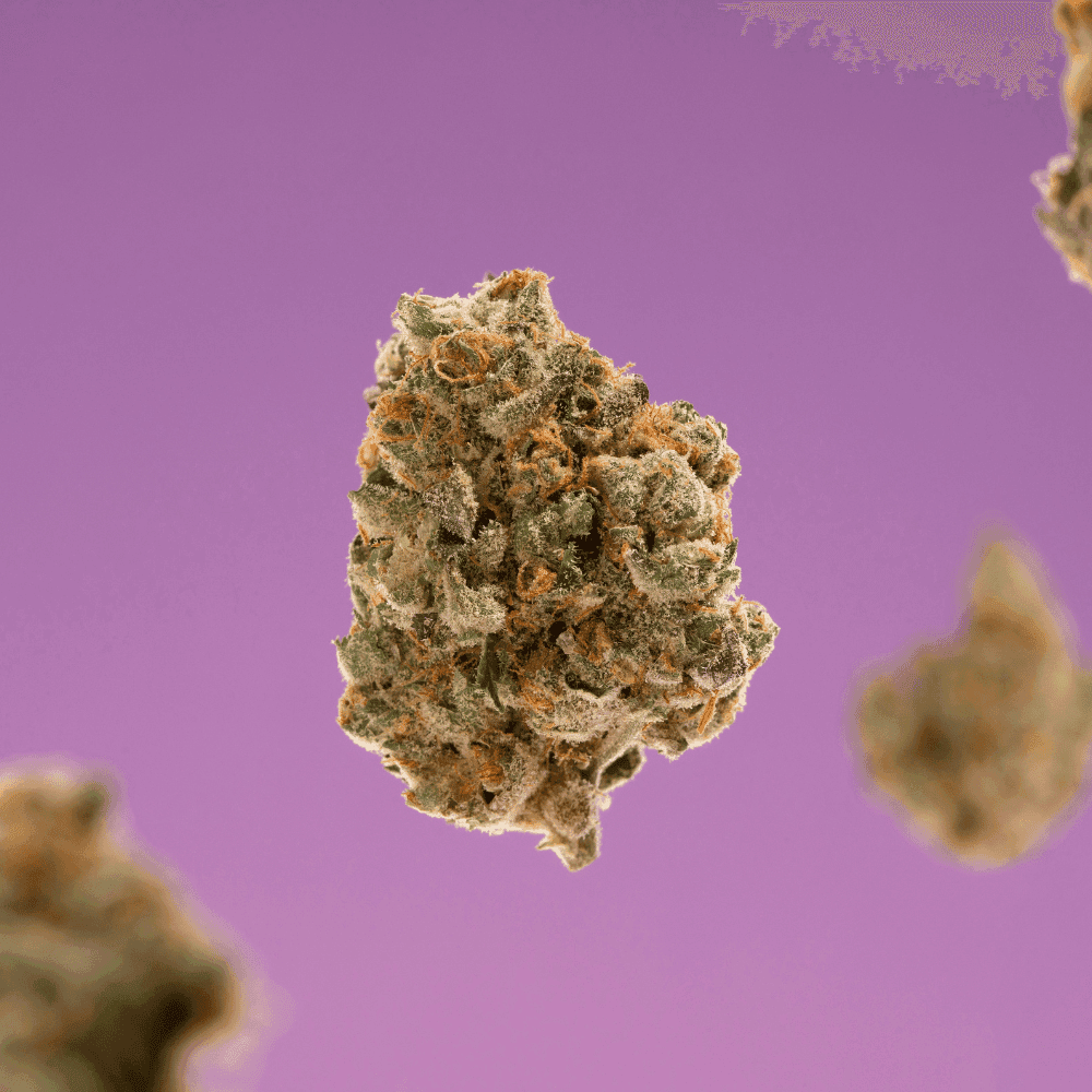 Weed Delivery in Long Beach: Same-Day Cannabis, Zip Codes & How to Order