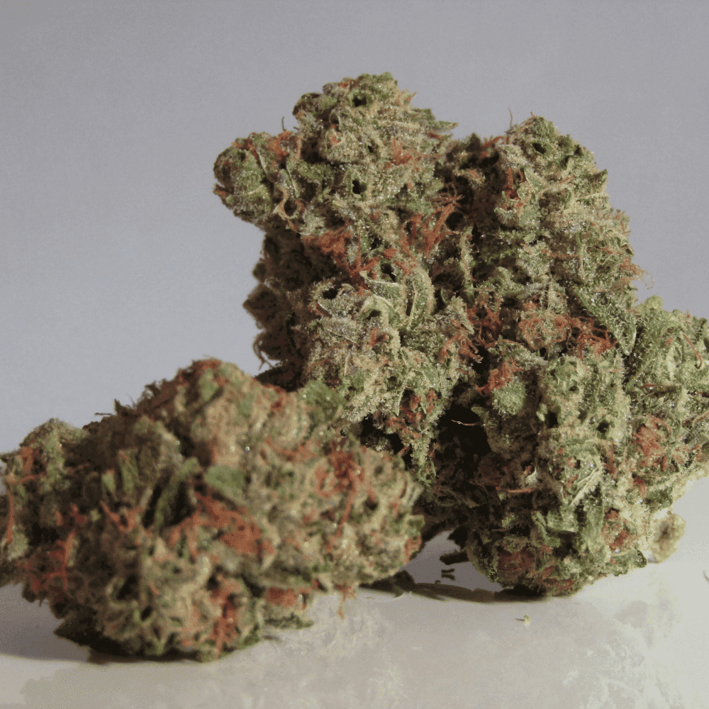 Terpene Shopping: What to Buy (and What to Skip)