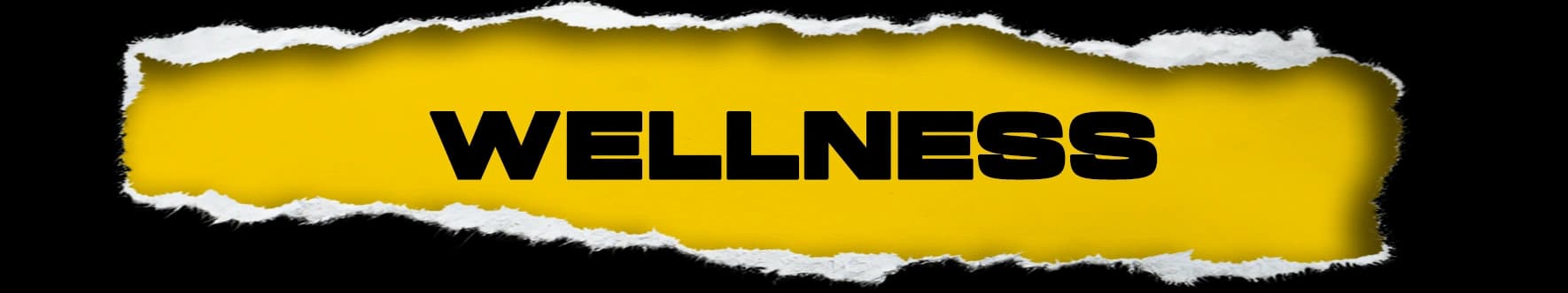 Stilo Banner