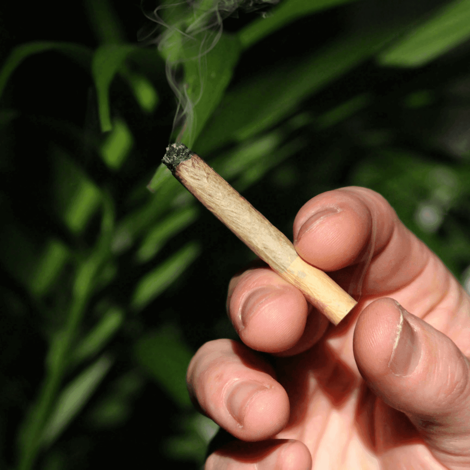 hand holding burning joint