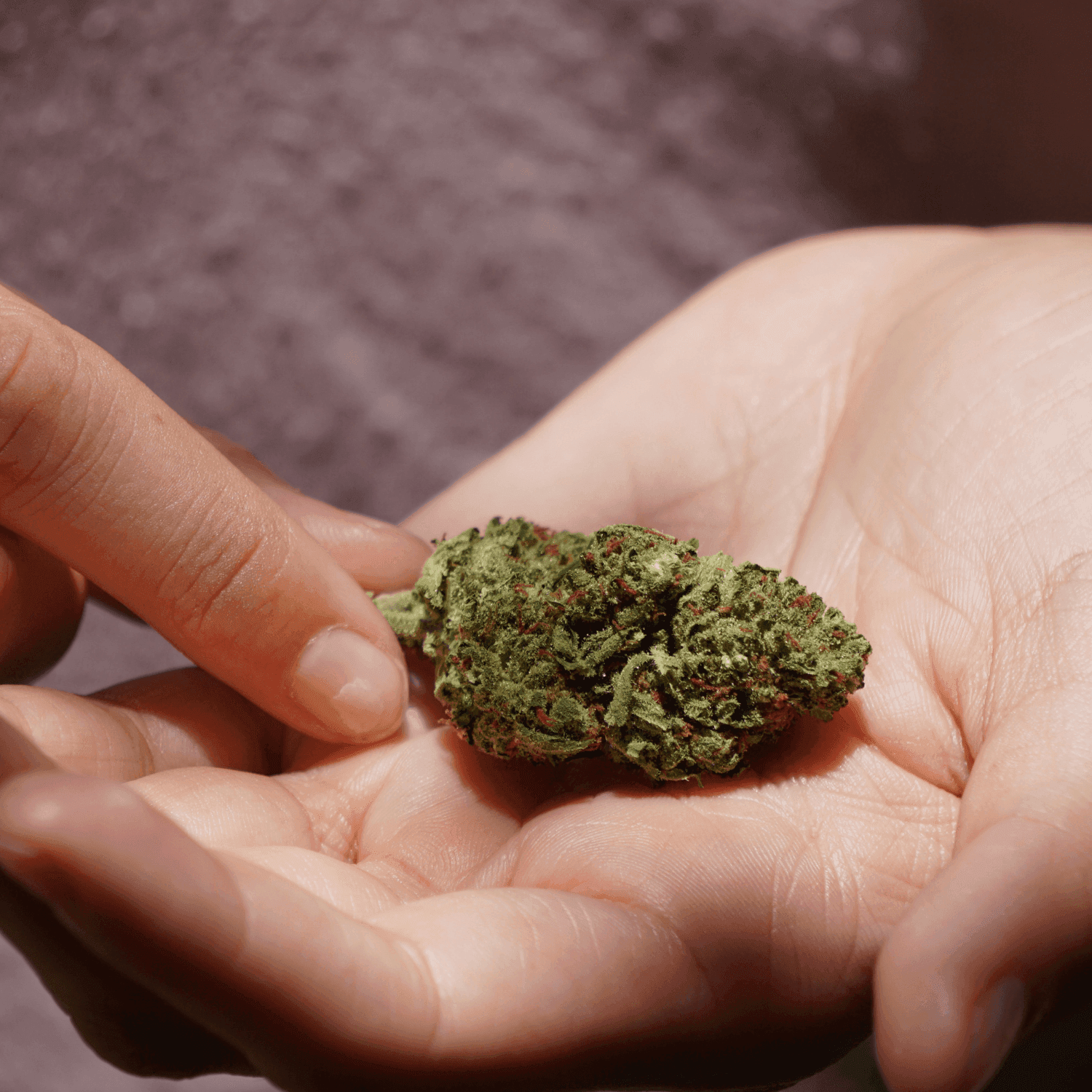 person holding green nug