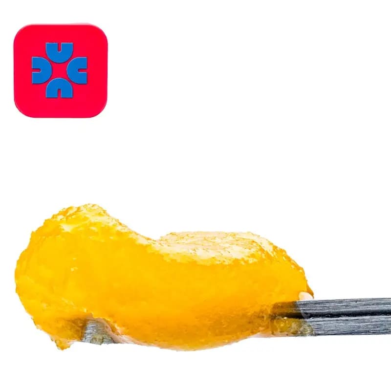 Budder / Badder-Casual -Cherry Marker Cake Badder