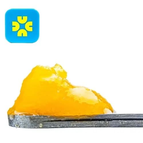 Budder / Badder-Casual -Mendo Haze Badder