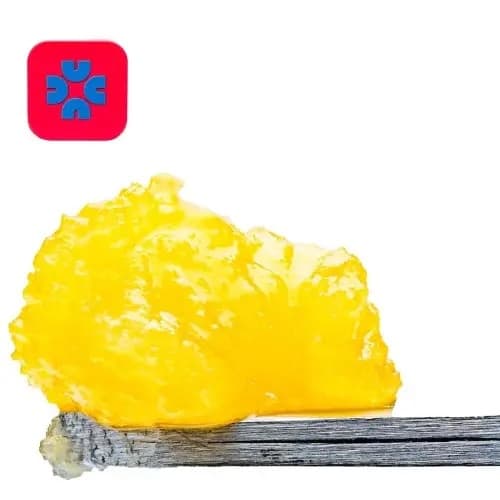 Budder / Badder-Casual -Nuclear Skunk Badder