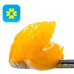 Budder / Badder-Casual -Sunset Slapz Badder-image-1