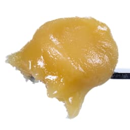 Budder / Badder-West Coast Cure-Banana Cream Pie Live Resin Badder-image-1