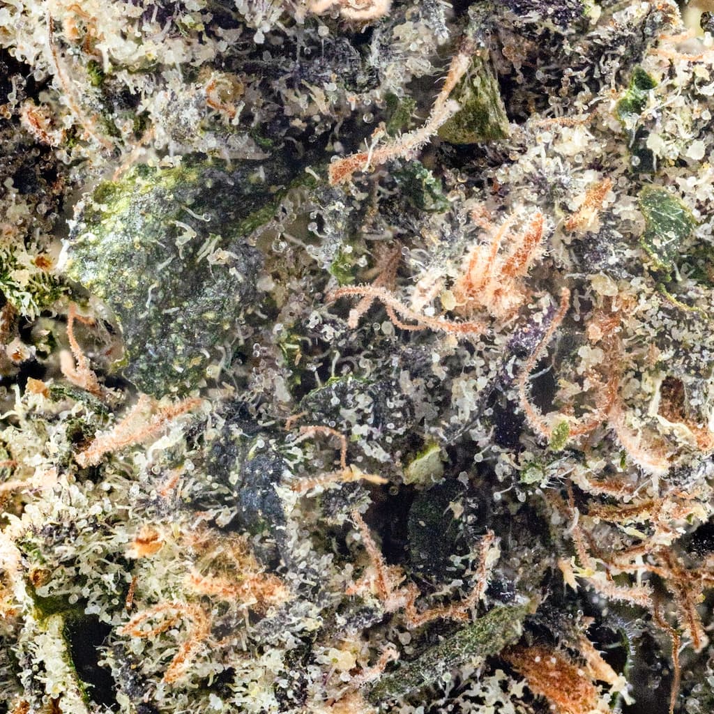 Budget Friendly - Astronauts - Space Belts Full Ounce - image-2