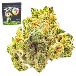 Budget Friendly-Astronauts-Space Biscotti-image-1