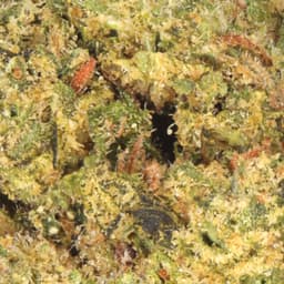 Budget Friendly-Astronauts-Space Dropz Ounce-image-2