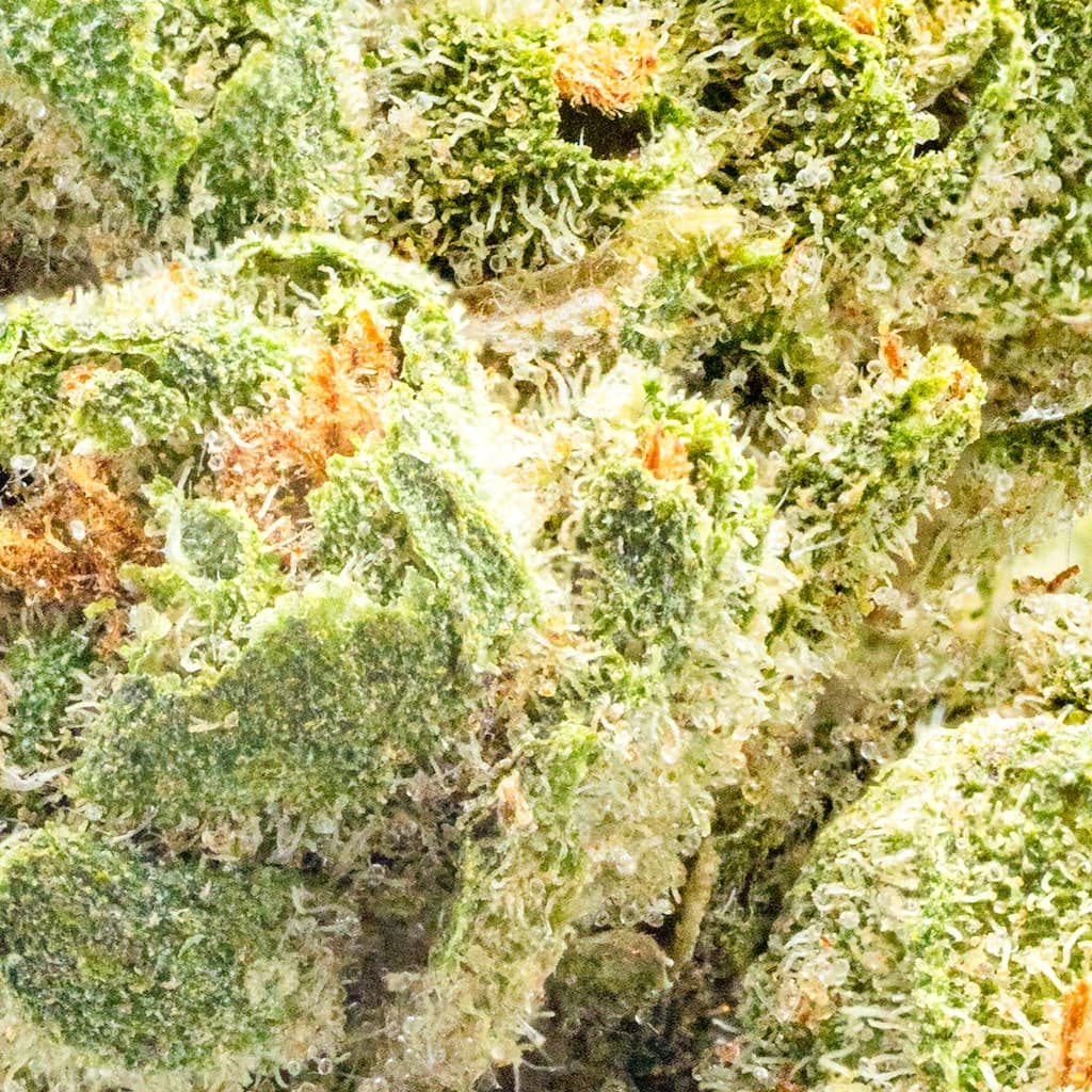 Budget Friendly - Astronauts - Space Gummies - image-2