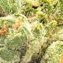 Budget Friendly-Astronauts-Space Gummies-image-2