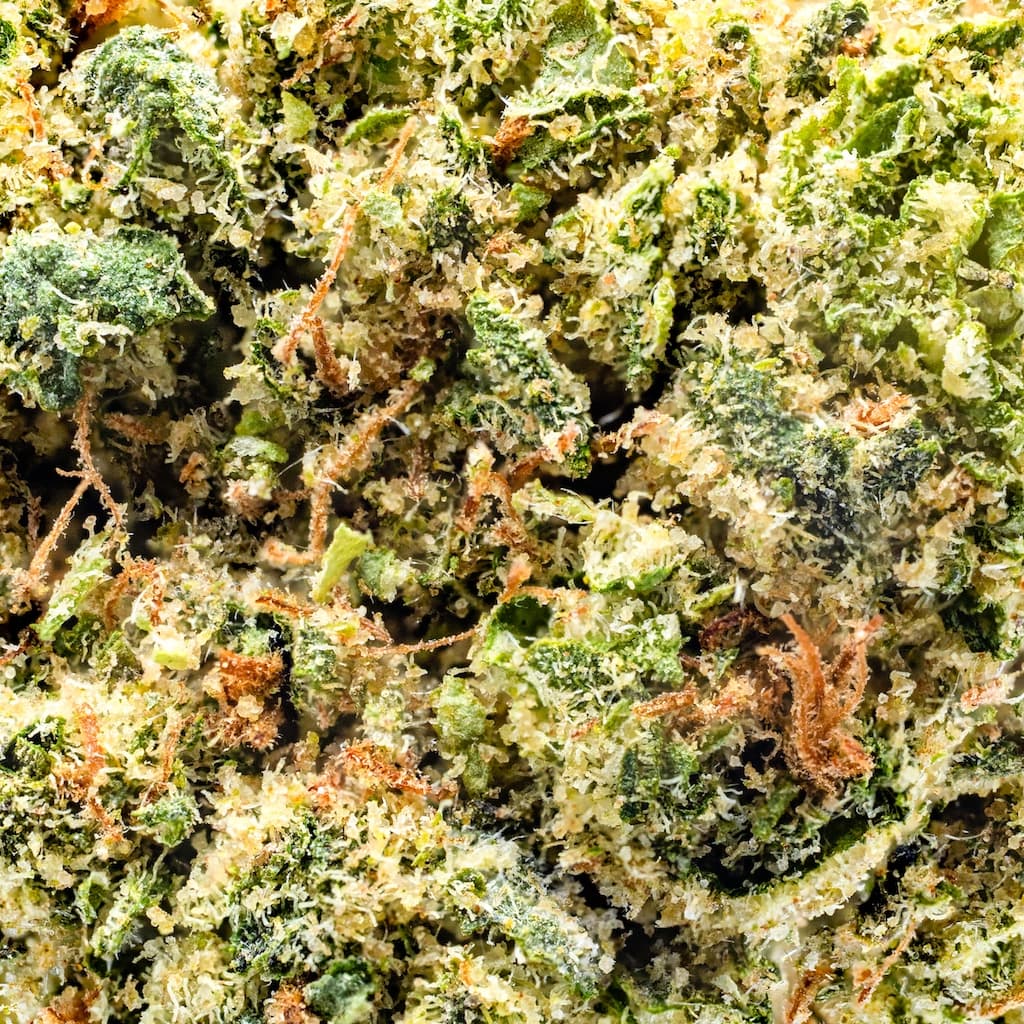 Budget Friendly - Astronauts - Space Slushie - image-2