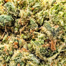 Budget Friendly-Astronauts-Space Slushie-image-2