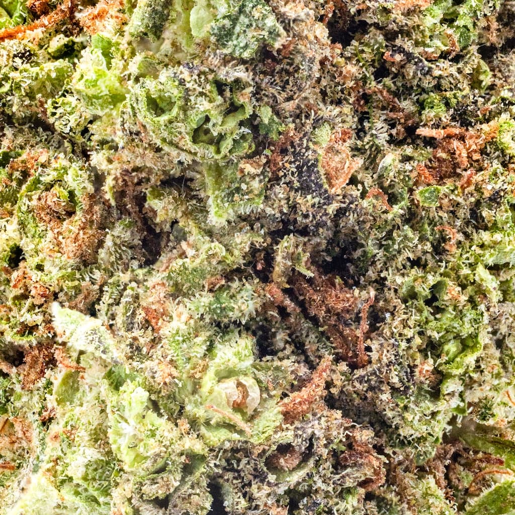 Budget Friendly - Hyperwolf - Ice Cream Cake - image-2