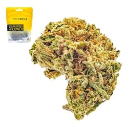 Budget Friendly-Hyperwolf-Jetlato-image-1