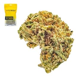 Budget Friendly-Hyperwolf-Jetlato Half Ounce-image-1