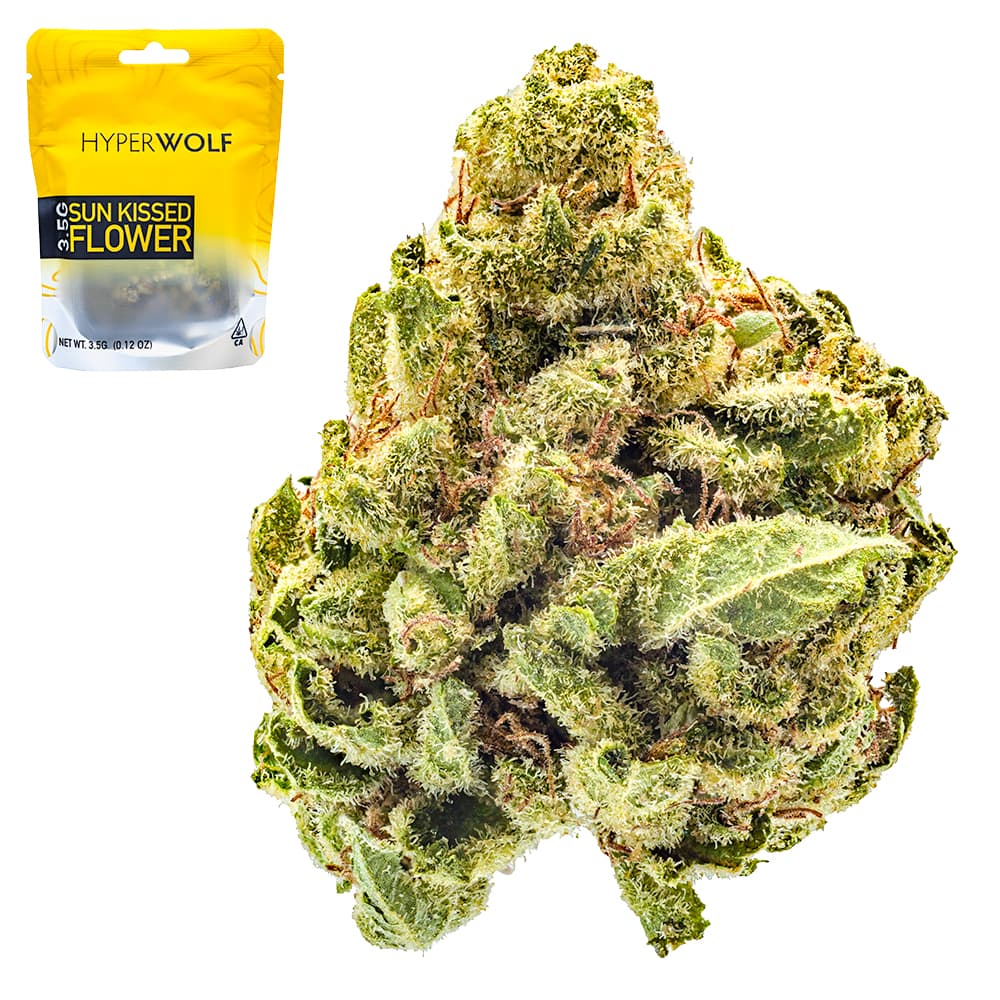 Budget Friendly-Hyperwolf-Pablos Revenge