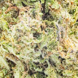 Budget Friendly-Hyperwolf-Strawnana Half Ounce-image-2