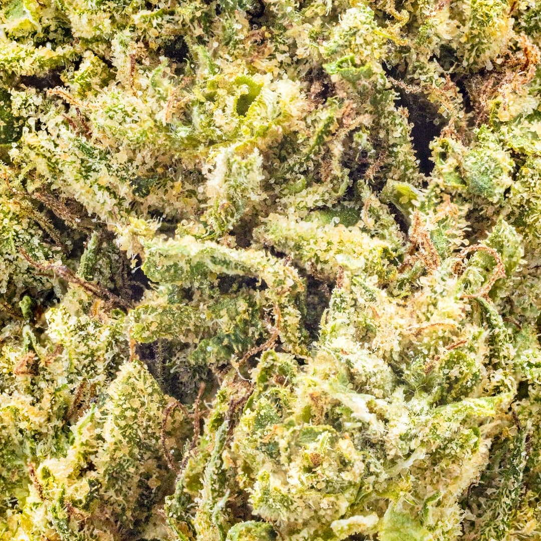 Budget Friendly - Hyperwolf - Thin Mint Sherbet Half Ounce - image-2