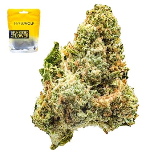 Budget Friendly-Hyperwolf-XJ-13