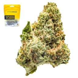 Budget Friendly-Hyperwolf-XJ-13-image-1