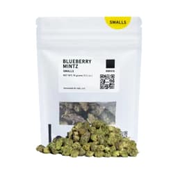 Budget Friendly-lolo-Blueberry Mintz Smalls Half Ounce-image-1