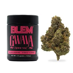 Premium-Blem-Gwava-image-1