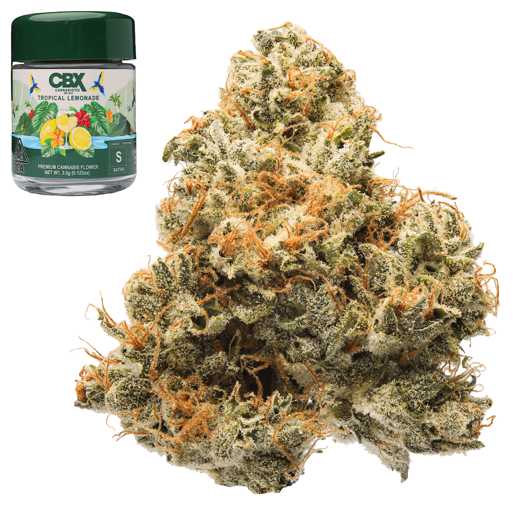 Flower-Cannabiotix-Tropical Lemonade