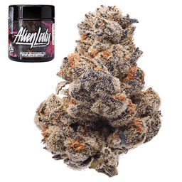 Premium-Alien Labs-Kryptochronic-image-1