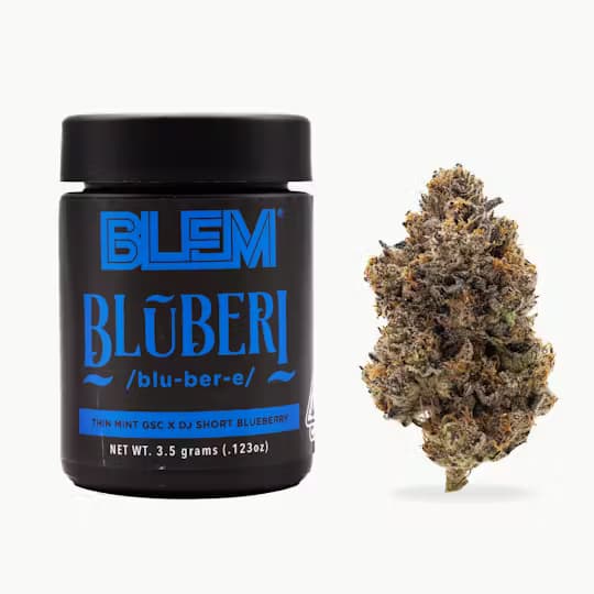 Premium-Blem-Blueberi
