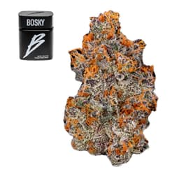 Premium-Bosky Genetics-Cheetah Piss x Odder Popz #19-image-1