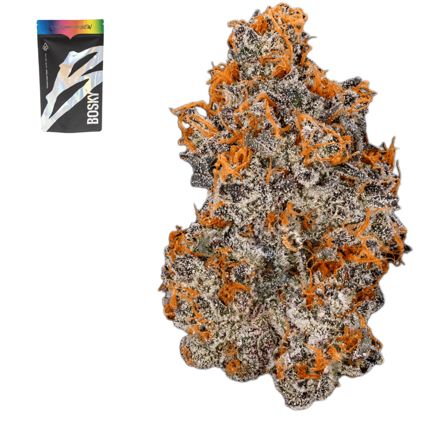 Cheetah Piss x Odder Popz #19 Half Ounce Smalls