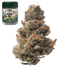 Premium-Cannabiotix-GM-UhOh-image-1