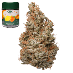 Premium-Cannabiotix-L'Orange-image-1