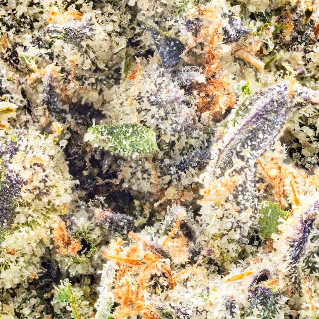 Premium - Claybourne Co. - Cherry Hearts - image-2