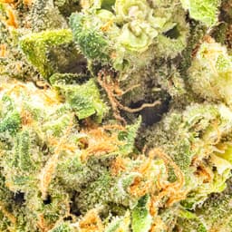 Premium-Claybourne Co.-Lemon Drop Top-image-2