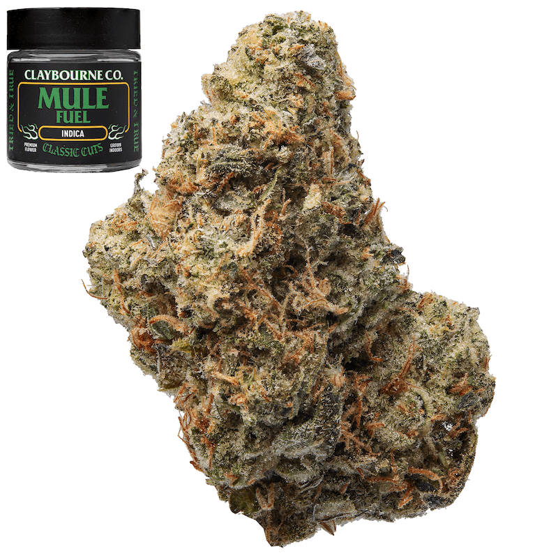 Premium-Claybourne Co.-Mule Fuel