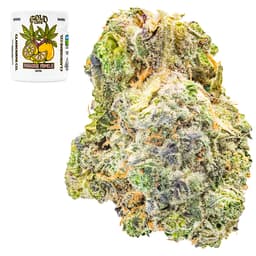 Premium-Claybourne Co.-Paradise Pomelo Gold Cuts-image-1