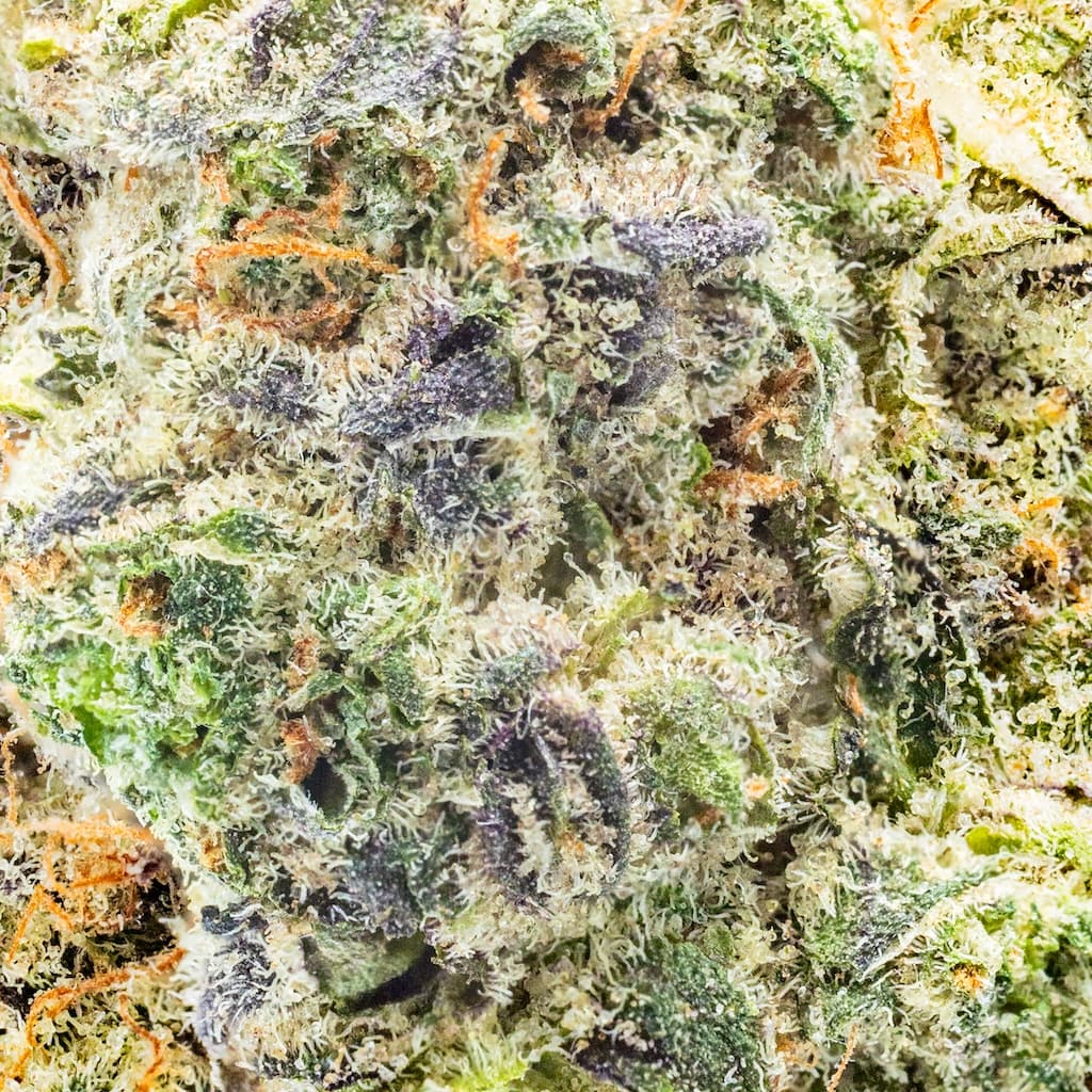 Premium - Claybourne Co. - Paradise Pomelo Gold Cuts - image-2