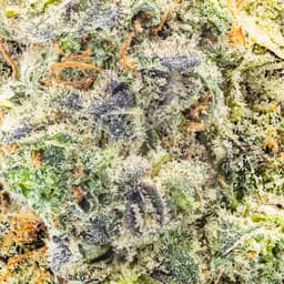 Premium-Claybourne Co.-Paradise Pomelo Gold Cuts-image-2